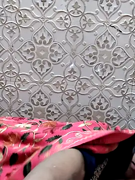 SA-K-SHI's cam snapshot