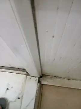 yun123456789's cam snapshot