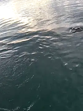 FloppyPickle4u's cam snapshot