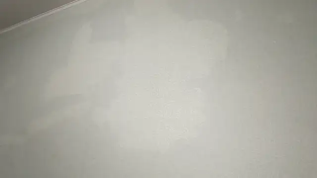 AyanamiPepe live sex cam