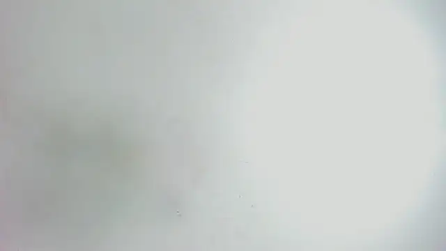 Emma_cartter1's cam snapshot