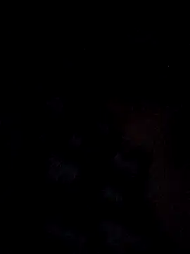 QuittingBiennial's cam snapshot