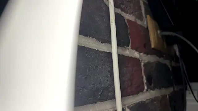 ChrisAmott live sex cam