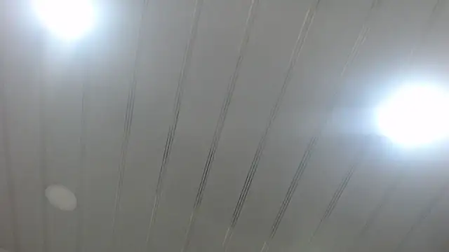 Giia_Monroe's cam snapshot