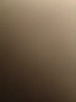 LionSilva's cam snapshot