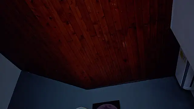 MrFox__'s cam snapshot