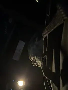 HaloRodeoLover2's cam snapshot