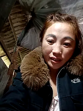 seacyre's cam snapshot