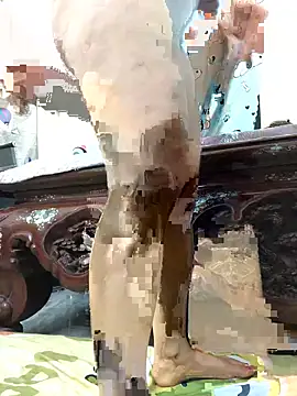 HinayLa's cam snapshot