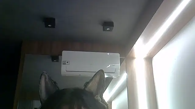 SkinnyKitten live sex cam