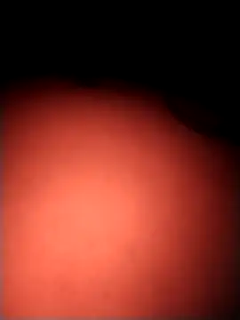 teilor_dreamse's cam snapshot