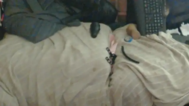 BISLETJE1980's cam snapshot