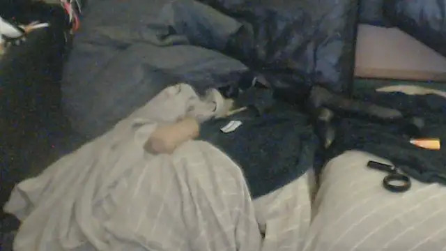 BISLETJE1980's cam snapshot