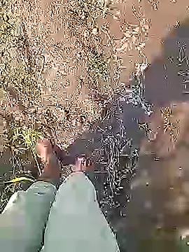 Desi_boy_fuck live sex cam