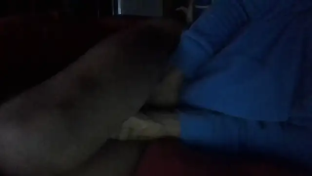 81grandplusthis live sex cam