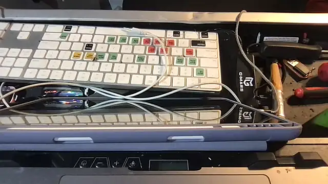 SinlessFreedom7 live sex cam