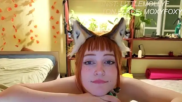 LittleFoxHole's cam snapshot