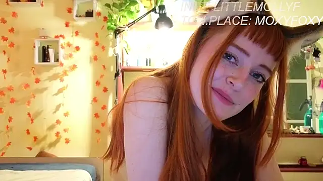 LittleFoxHole live sex cam