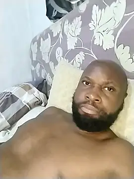 Stallion100 live sex cam