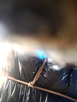 Bhavna8080's cam snapshot