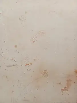 Sapna_baby1's cam snapshot