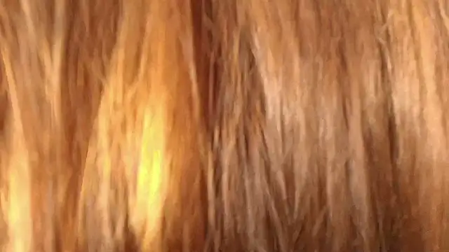 Jenna-Mitchell's cam snapshot