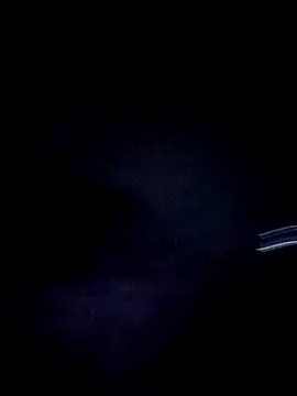 Bigloggz live sex cam