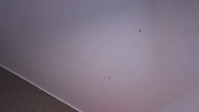 CleeoAdams_'s cam snapshot