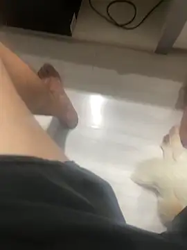 BCFZD's cam snapshot