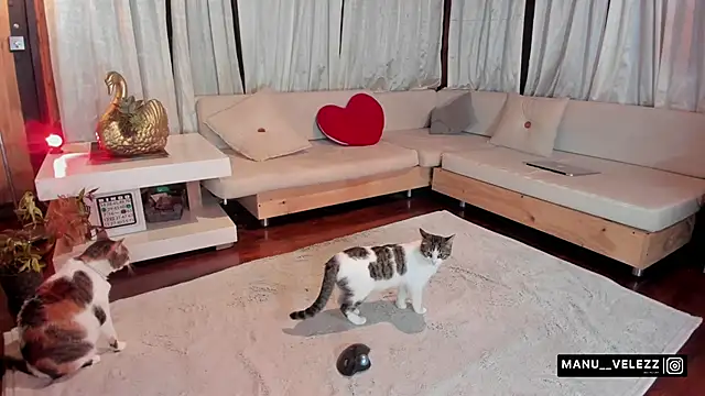 Bonnie_andclyde live sex cam