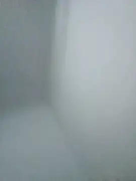 Pollaelectrica77's cam snapshot