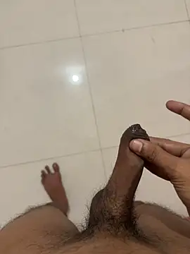 Joystar0017 live sex cam