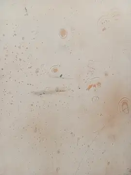 Sapna_baby1's cam snapshot