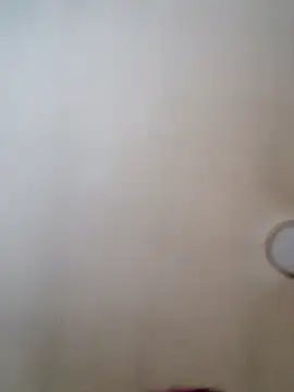 Ely_Elenita live sex cam