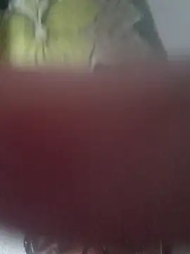 KiranTheBull_Vizag live sex cam