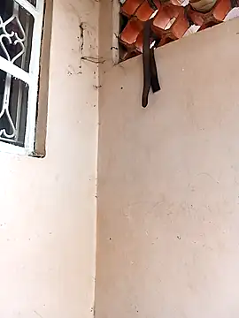 Momojasmine0's cam snapshot