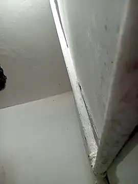 Ardo1899 live sex cam