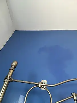 stevo170t's cam snapshot