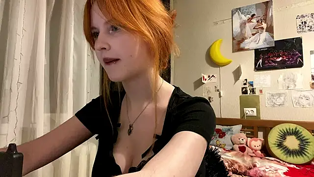 DynaLoom's cam snapshot