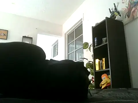 blakeli_peython's cam snapshot