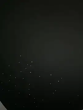 Just-Lilly's cam snapshot