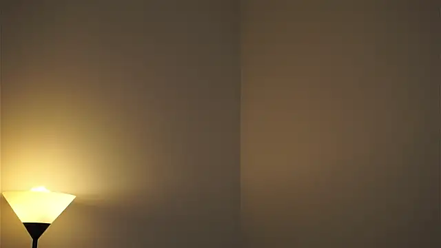 MiHabeck's cam snapshot