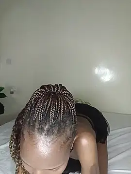 Nedambale's cam snapshot