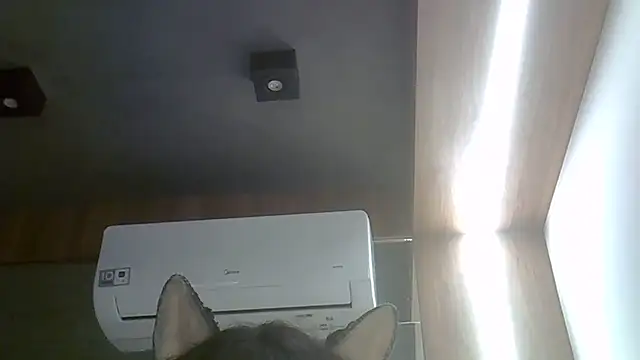 SkinnyKitten live sex cam