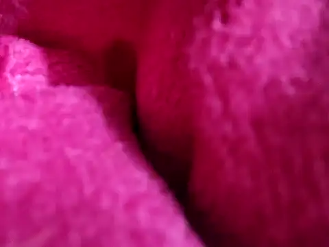 xx_priti live sex cam