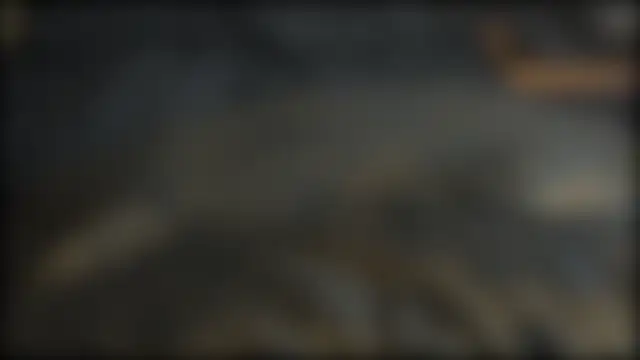 adelaide2026's cam snapshot