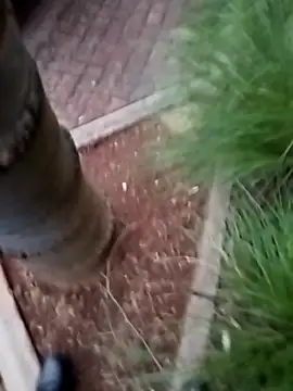 Sorrydick2 live sex cam