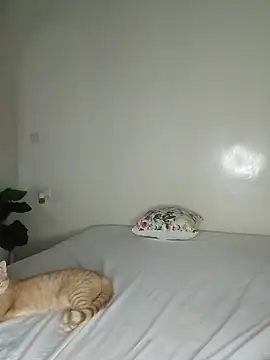 Nedambale live sex cam