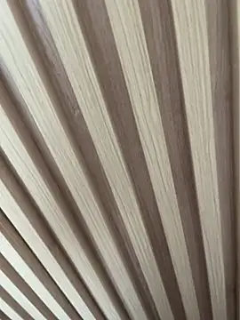 safadinhaputinha69's cam snapshot