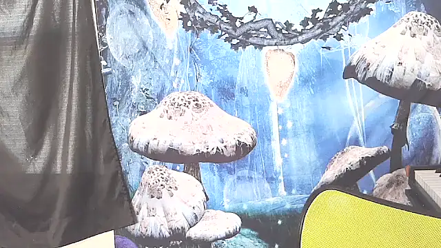 _hellostormy_'s cam snapshot